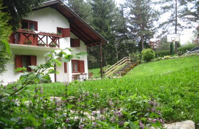 vikendica sa 8000m2 šume