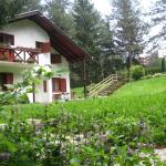 vikendica sa 8000m2 šume