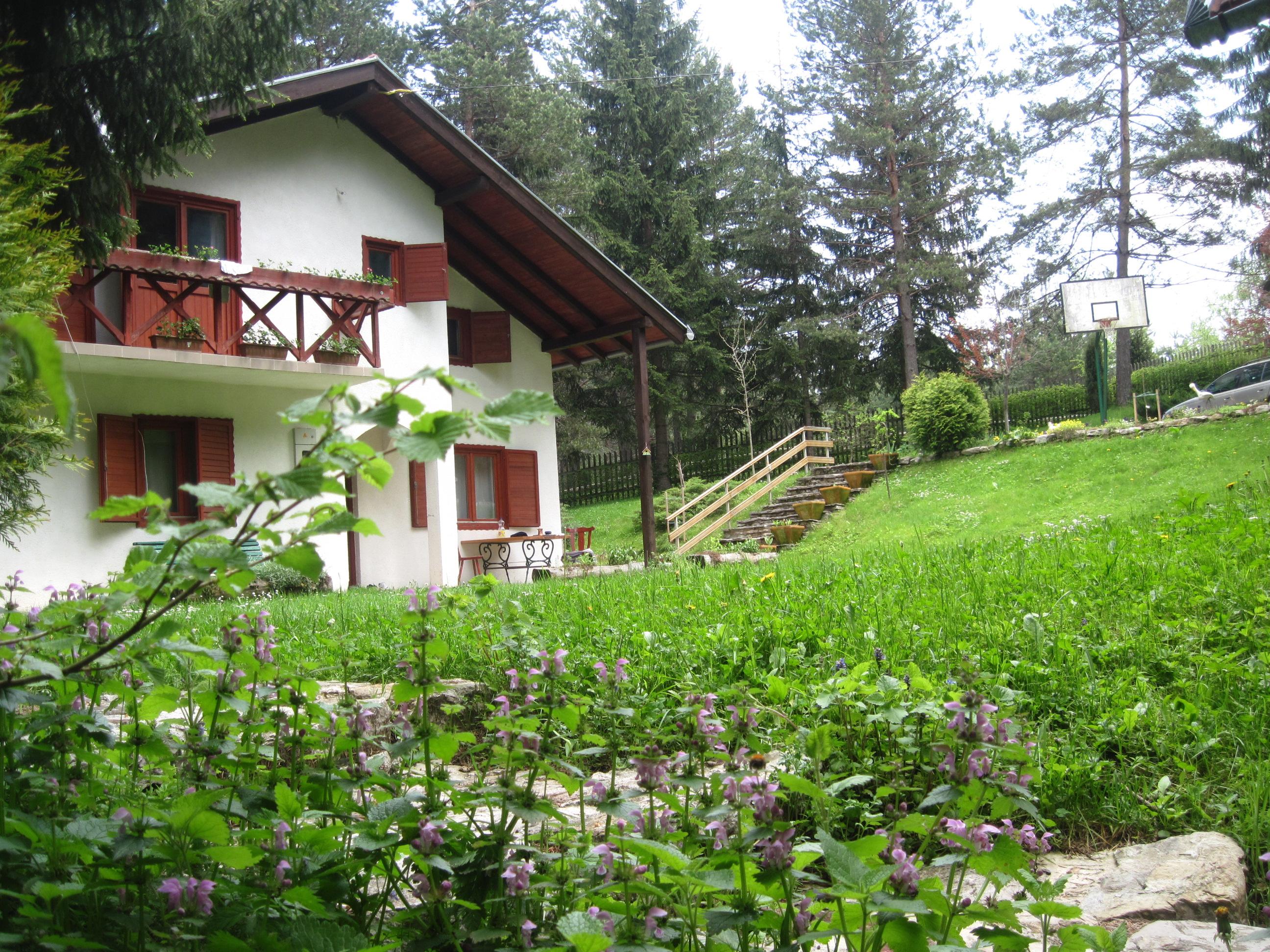 vikendica sa 8000m2 šume