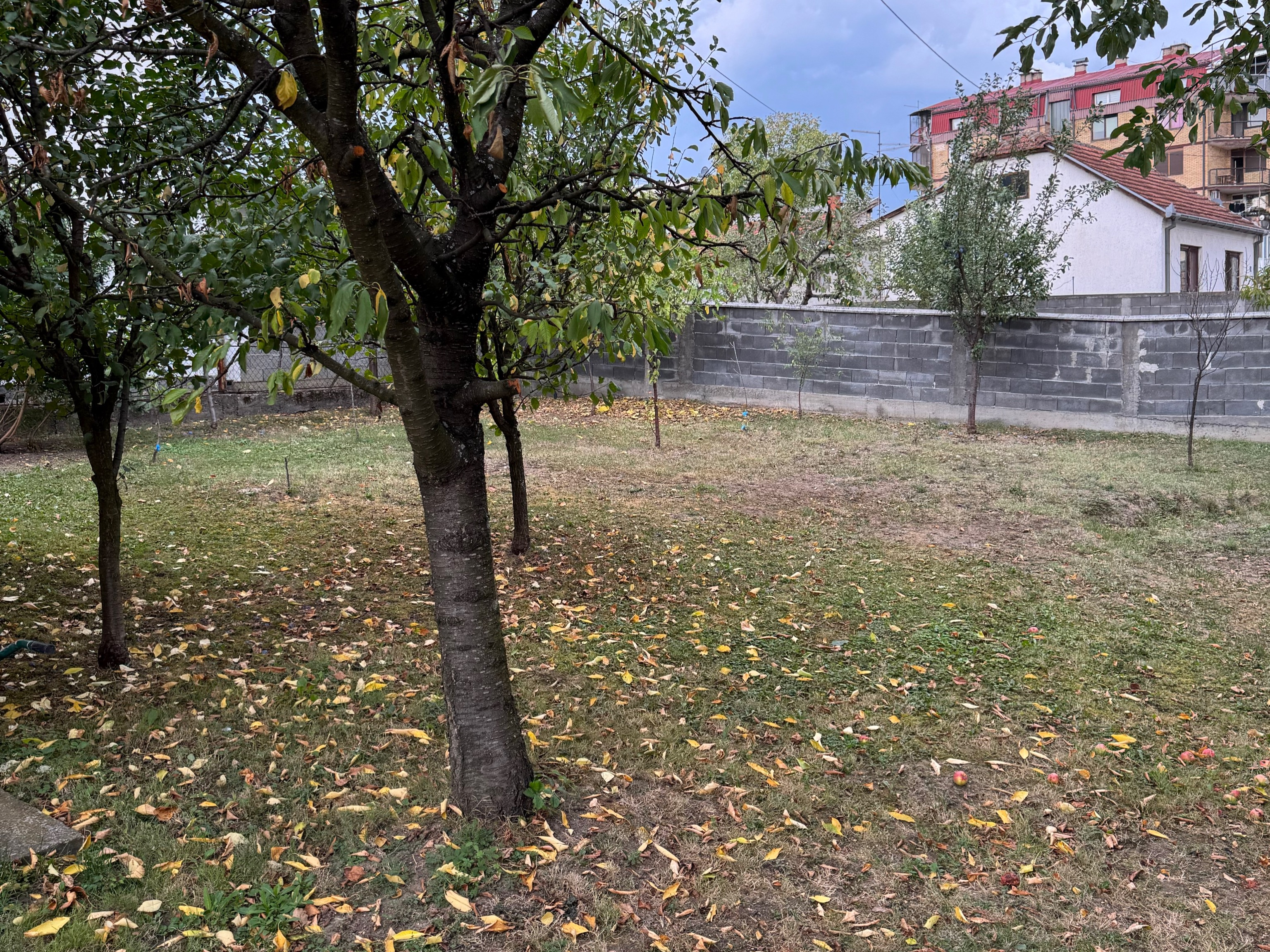 Kuća sa garažom i voćnjakom – Odžak, 5 min od centra