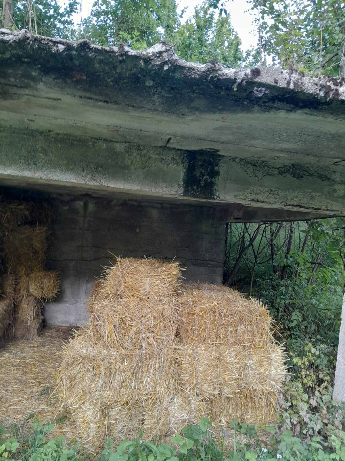 Zazidljiva parcela Bosanska Krupa
